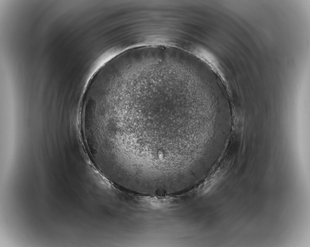 X0000087040952200704181213