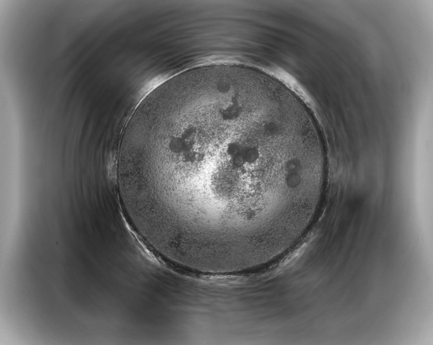 X0000087040953200704181213