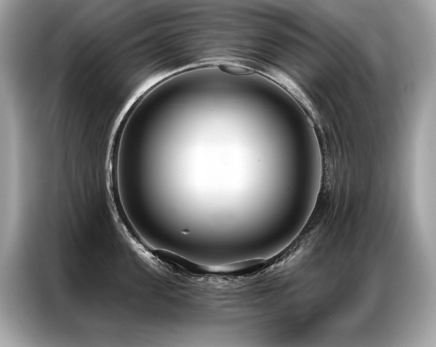 X0000087040955200704181213