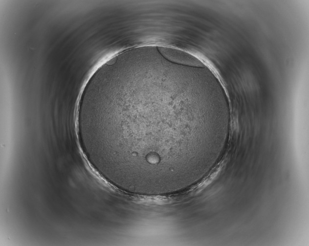 X0000087040957200704181213