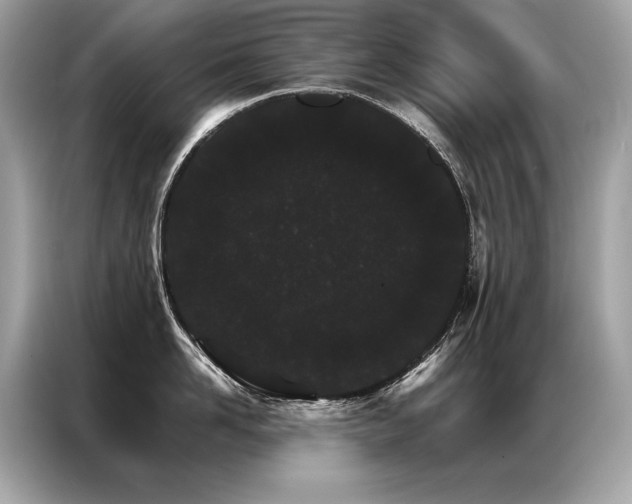 X0000087040958200704181213