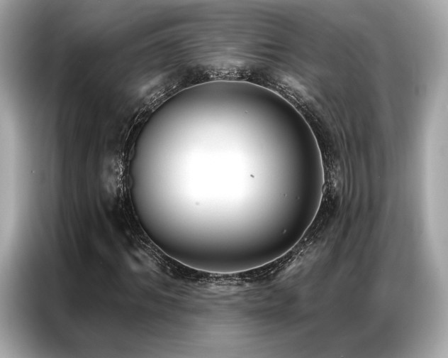 X0000087040964200704181212