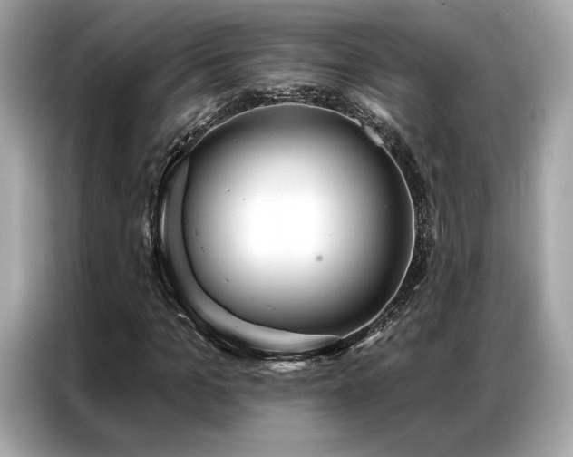 X0000087040965200704181212