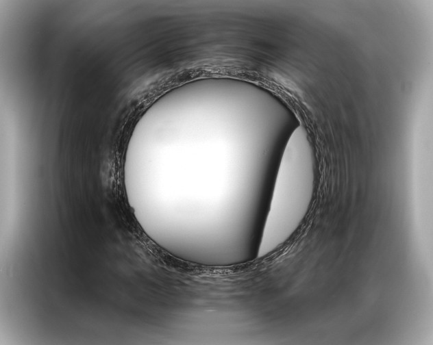 X0000087040966200704181212