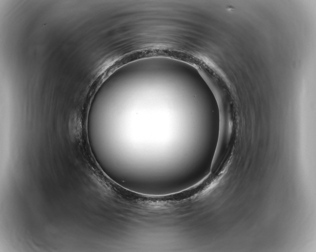 X0000087040969200704181212