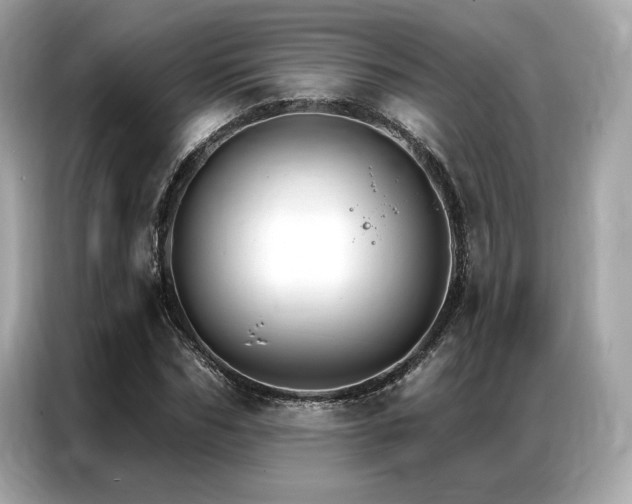 X0000087040970200704181212