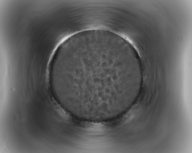 X0000087040975200704181212