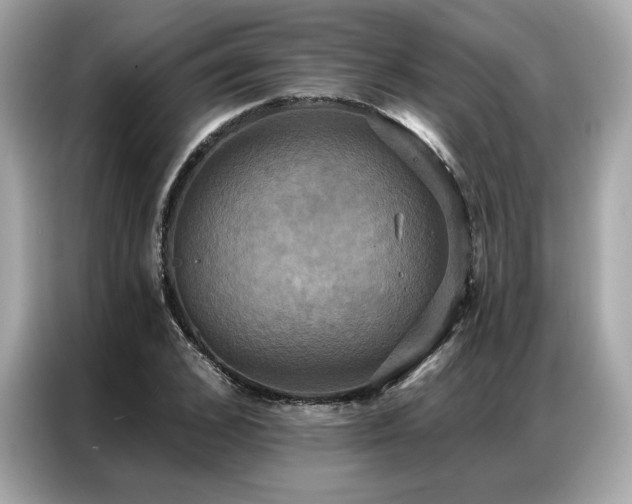 X0000087040976200704181212