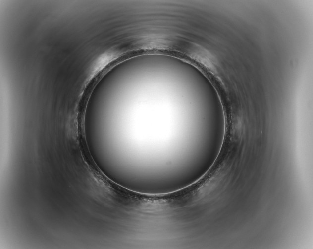X0000087040978200704181212