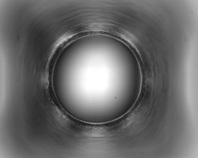 X0000087040979200704181212