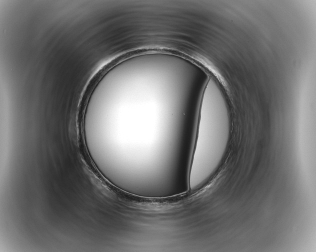 X0000087040980200704181212