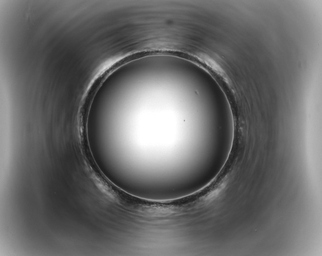 X0000087040981200704181212