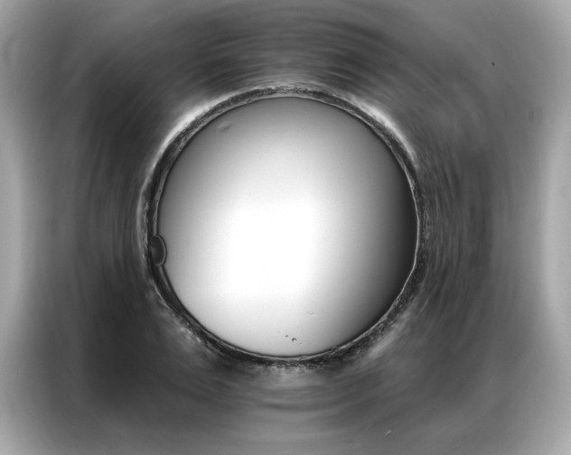 X0000087040983200704181212