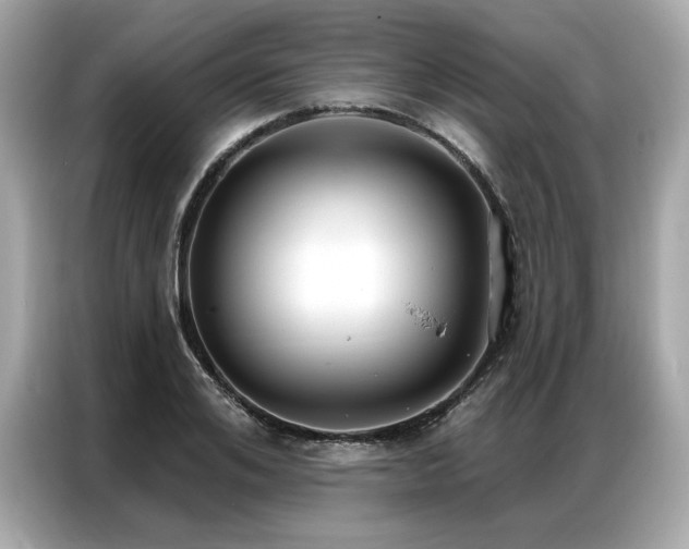 X0000087040984200704181212