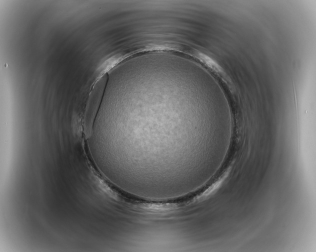 X0000087040985200704181212