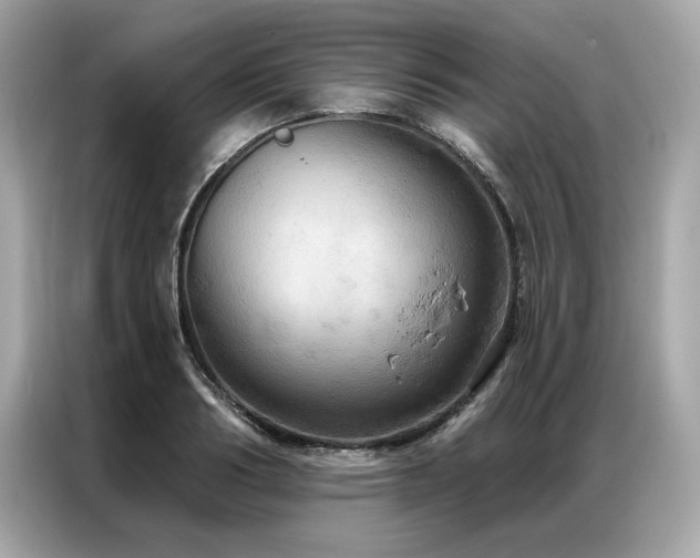 X0000087040986200704181212