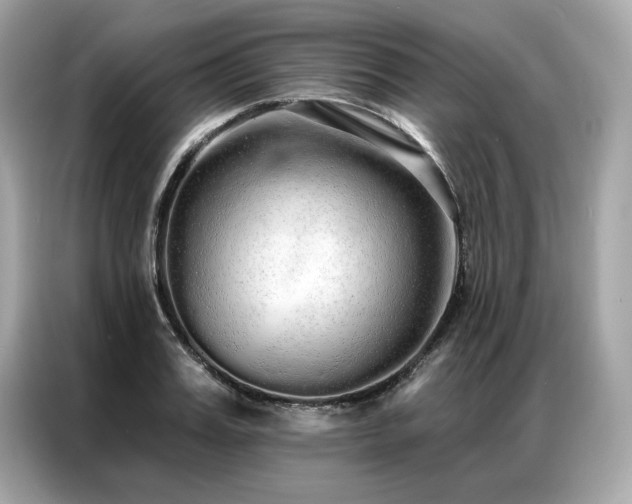 X0000087040987200704181212
