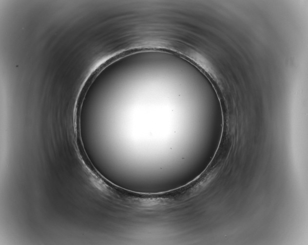 X0000087040988200704181212