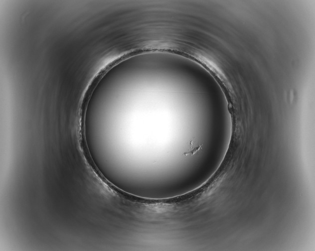 X0000087040992200704181212