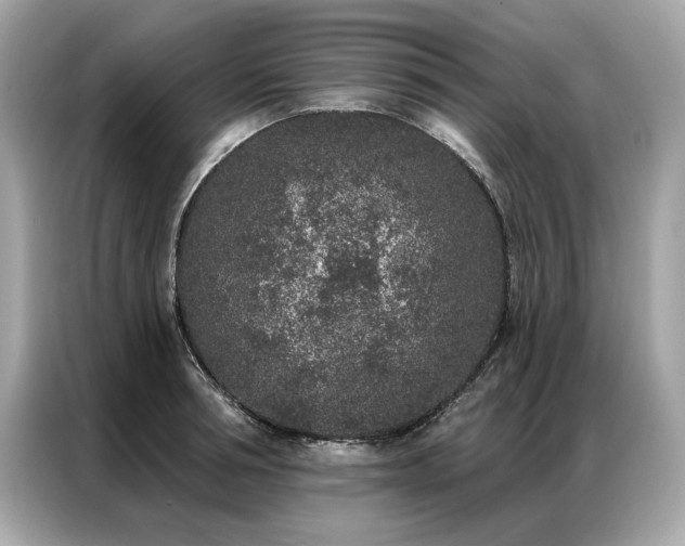 X0000087040994200704181212