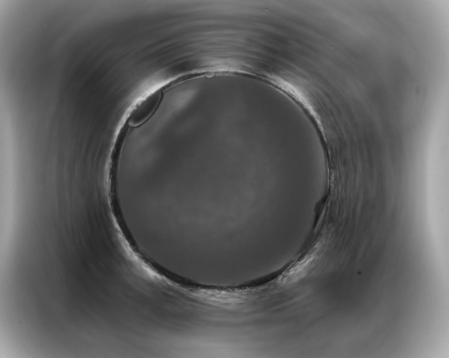 X0000087040995200704181211