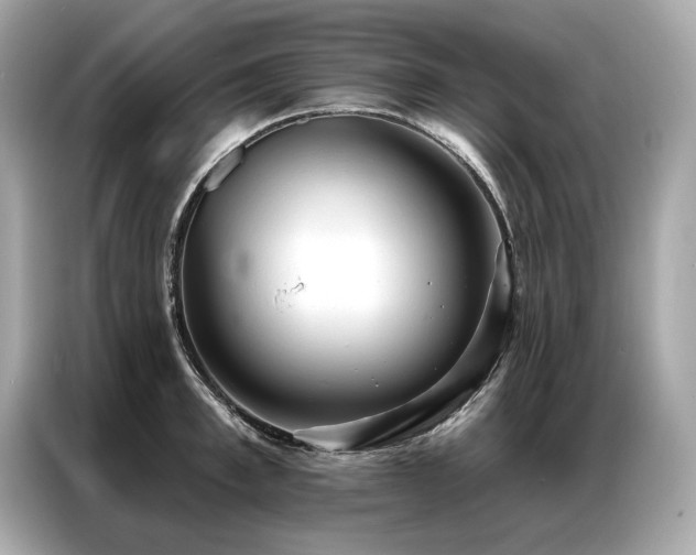 X0000087040997200704181211