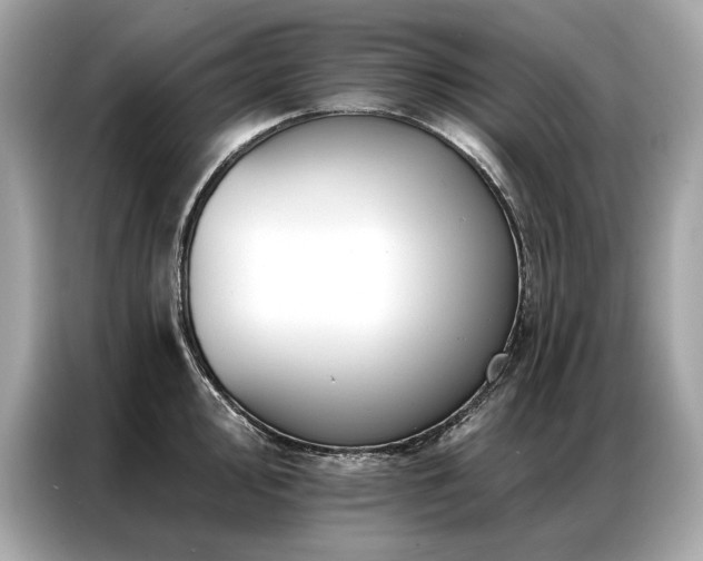 X0000087041000200704181211