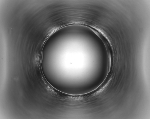 X0000087041001200704181211