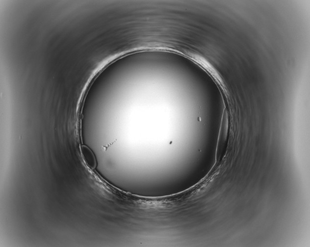 X0000087041004200704181211