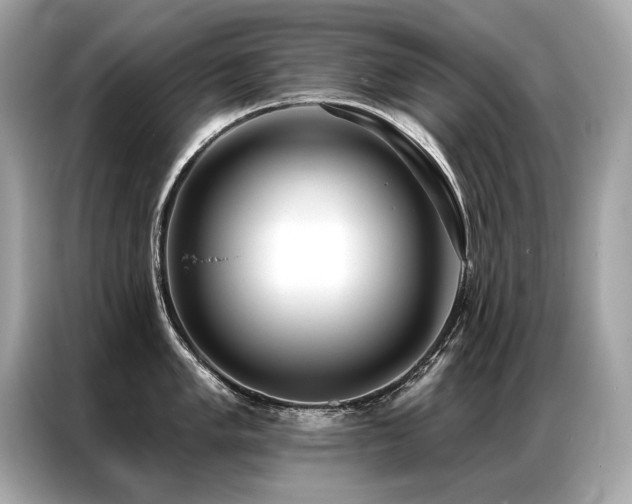 X0000087041005200704181211