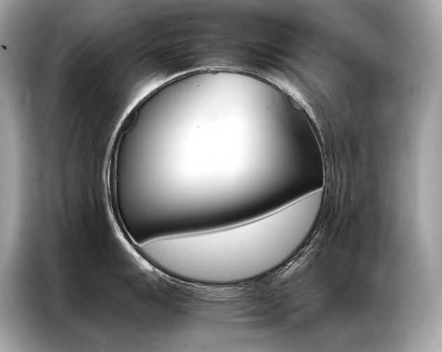 X0000087041007200704181211