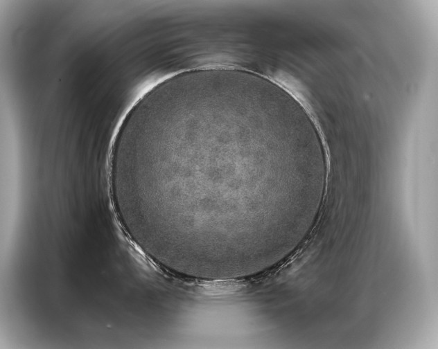 X0000087041008200704181211