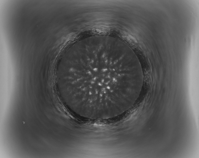 X0000087041009200704181211