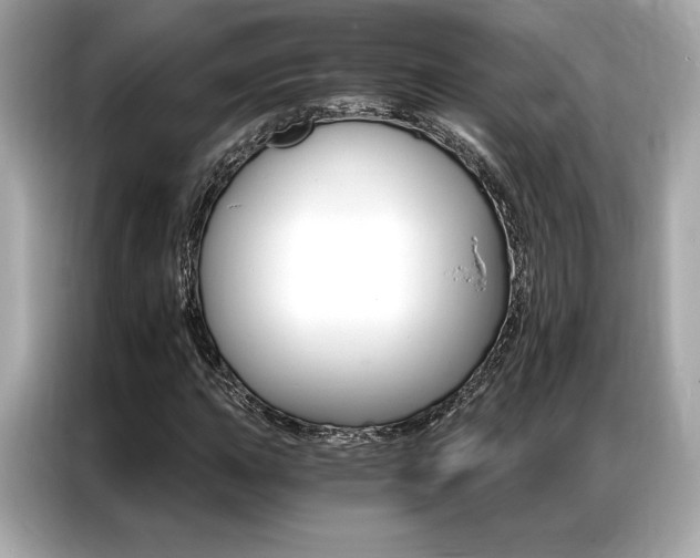 X0000087041015200704181211
