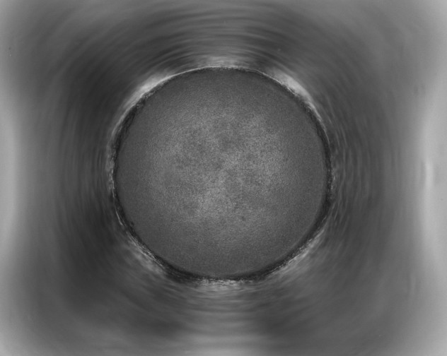 X0000087041019200704181211