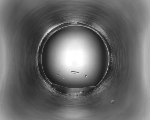 X0000087041020200704181211