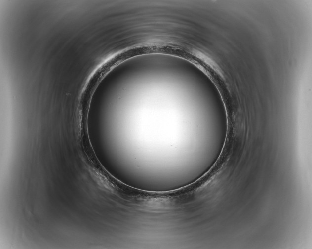 X0000087041021200704181211