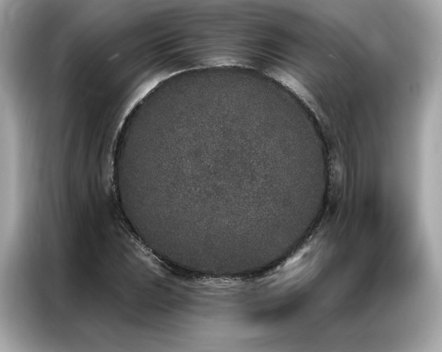X0000087041023200704181211