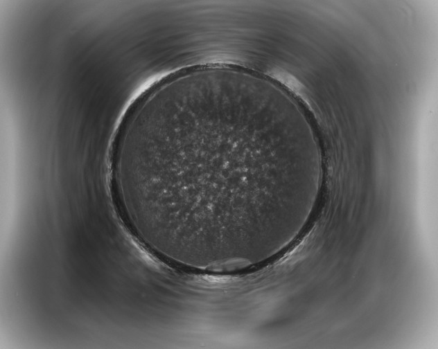 X0000087041024200704181211