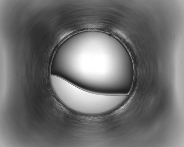X0000087041025200704181211