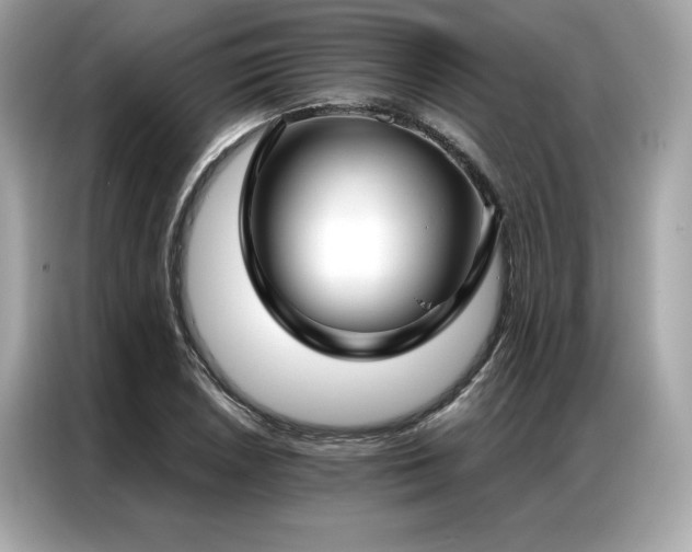 X0000087041026200704181211