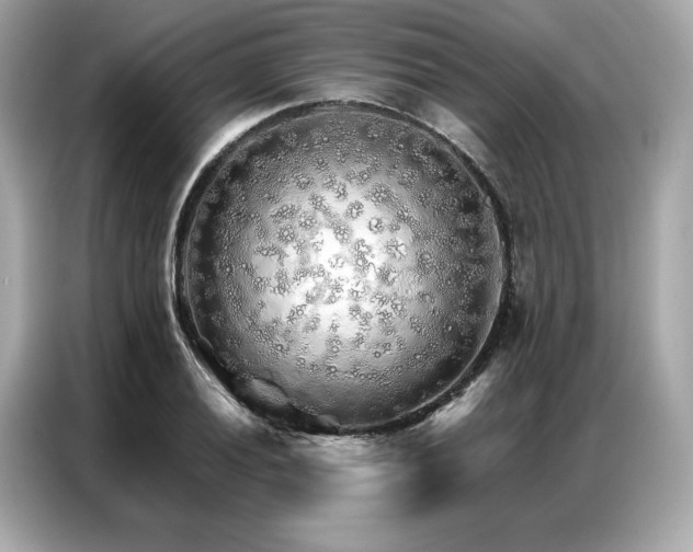 X0000087041028200704181211