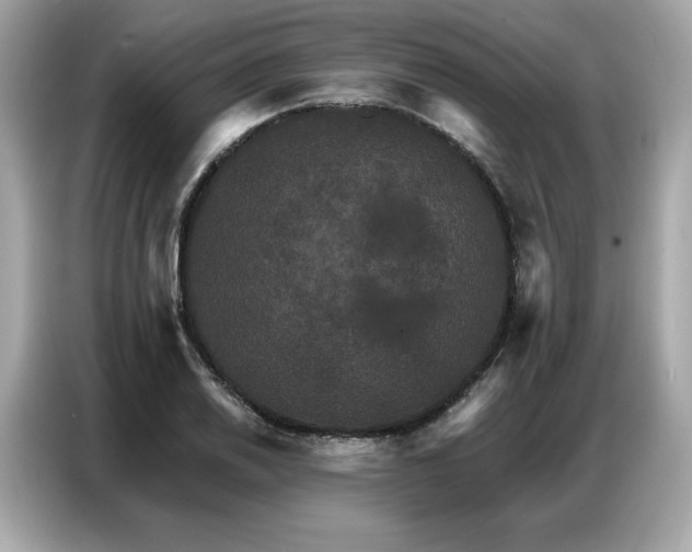 X0000087041030200704181211