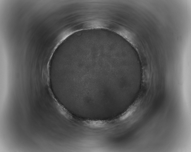 X0000087041031200704181211