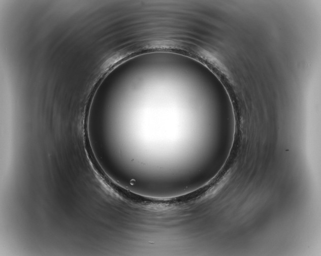 X0000087041033200704181211