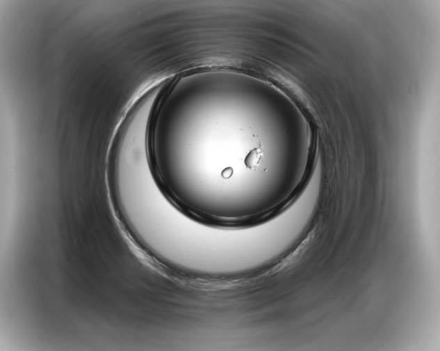 X0000087041034200704181211