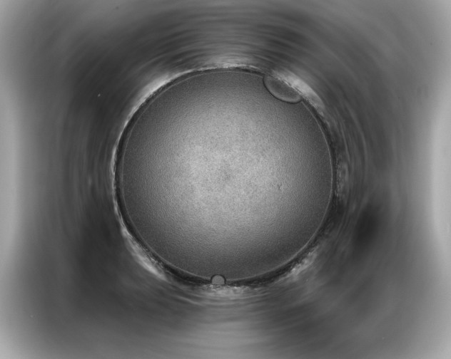 X0000087041039200704181211