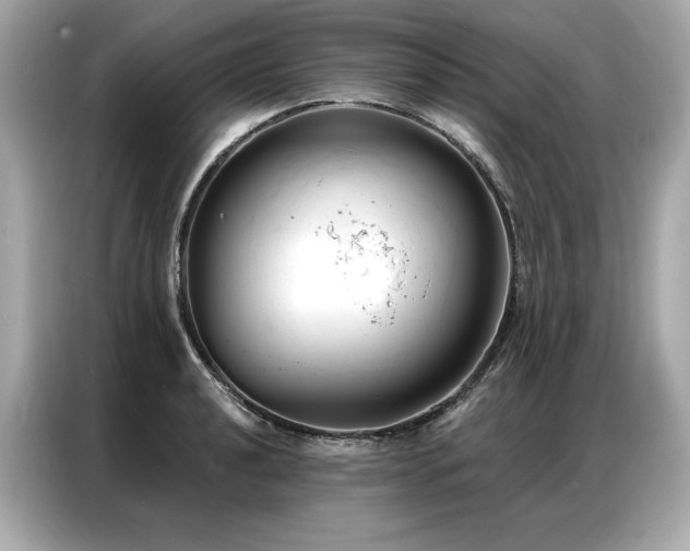 X0000087041040200704181211
