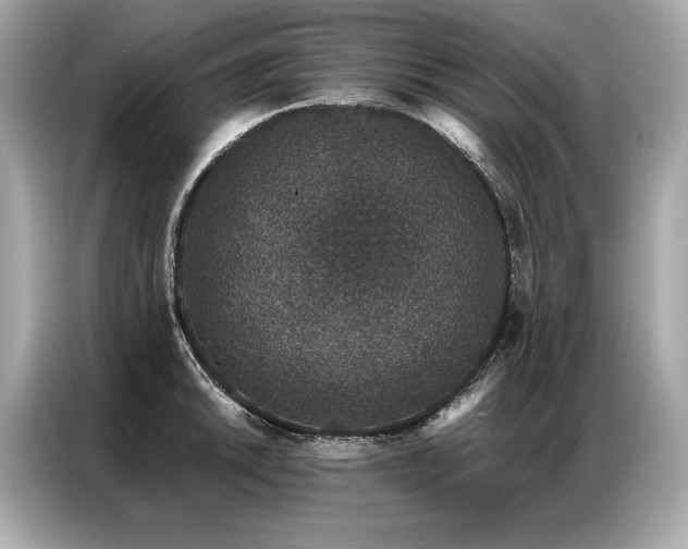 X0000087041046200704181211