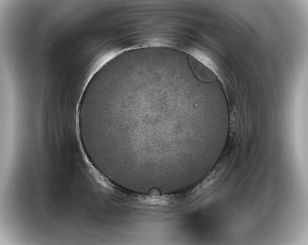 X0000087041047200704181211